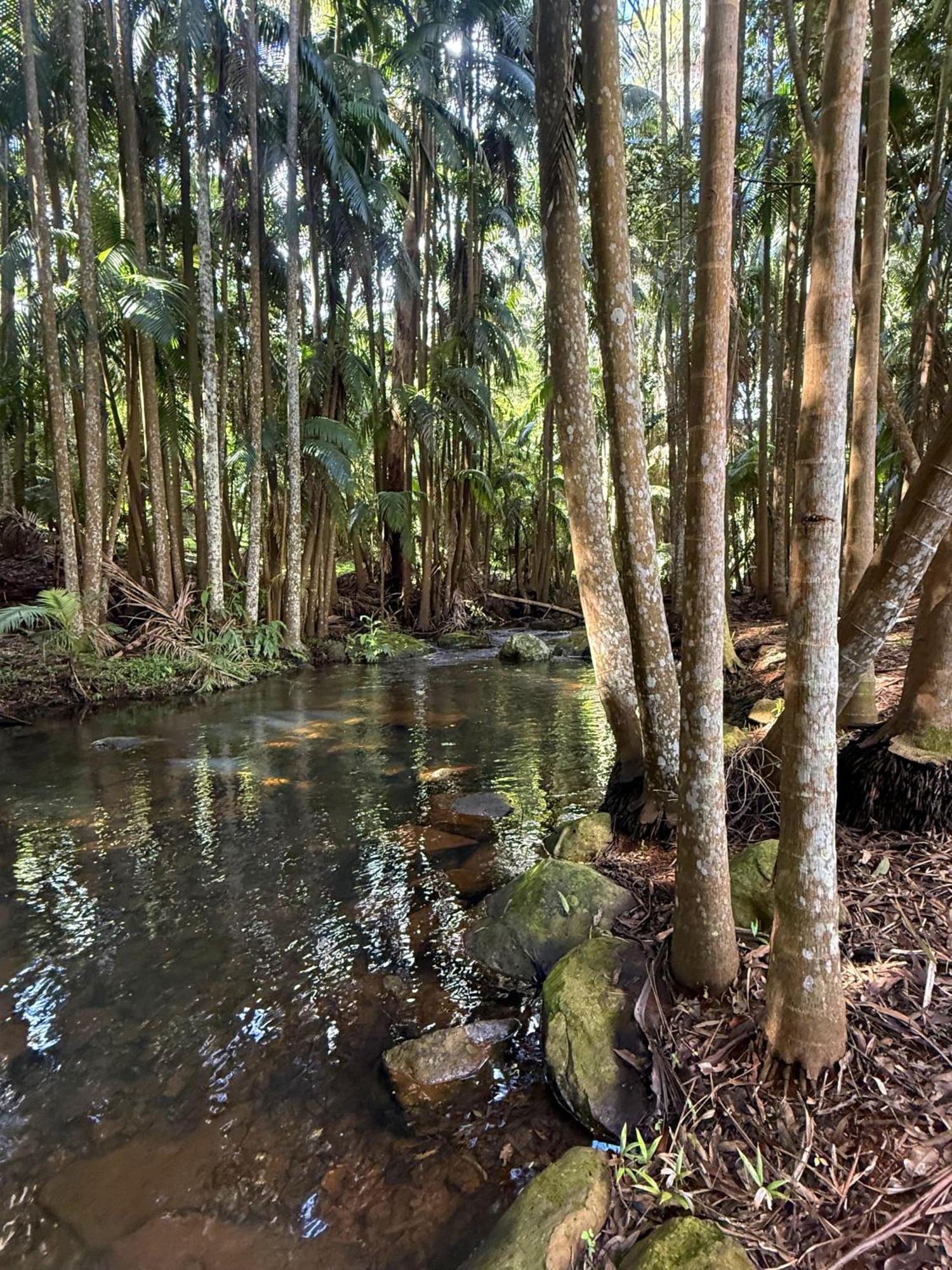Mt Tamborine Stonehaven Manor Hotel Gold Coast Luaran gambar