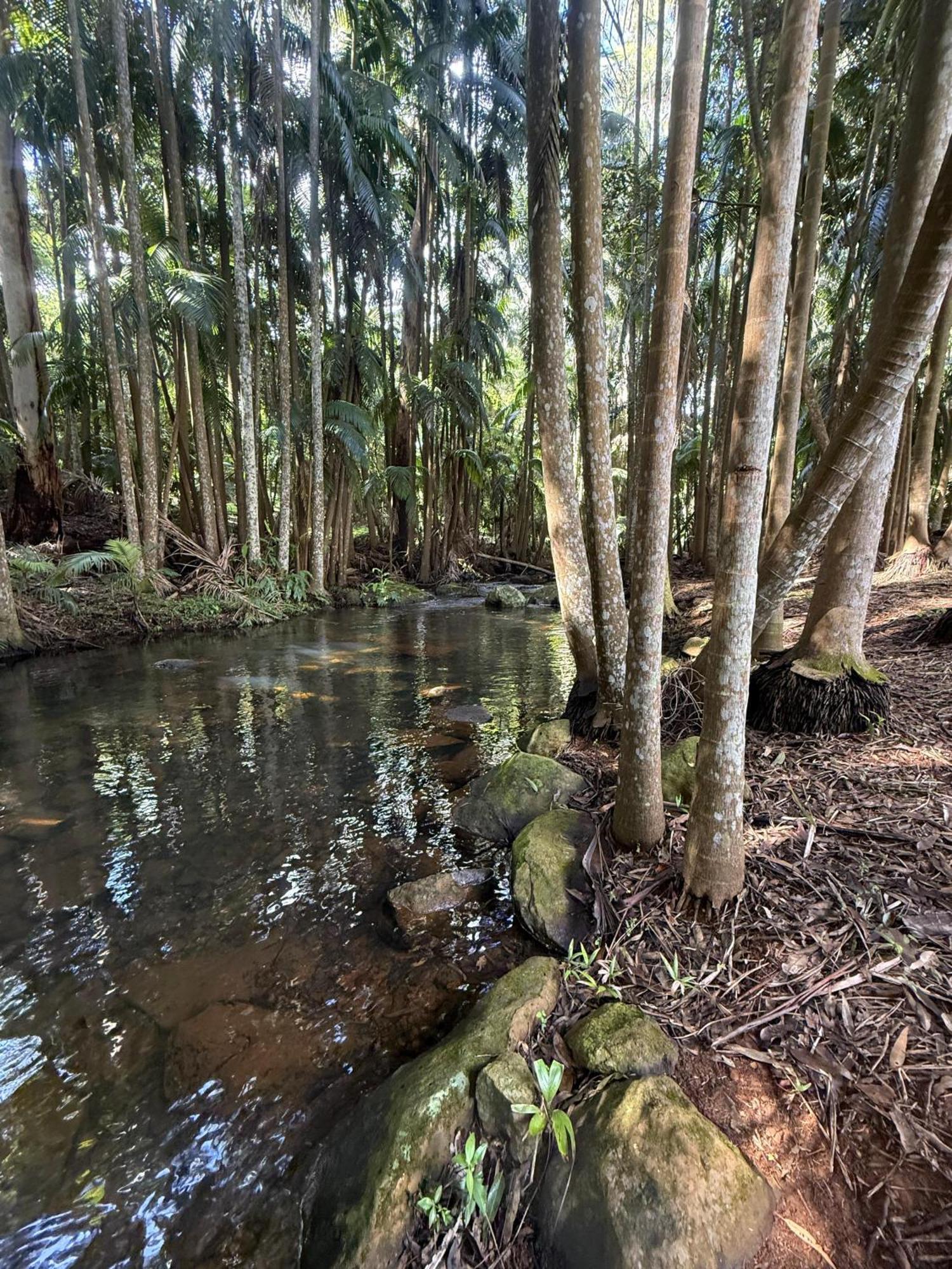Mt Tamborine Stonehaven Manor Hotel Gold Coast Luaran gambar
