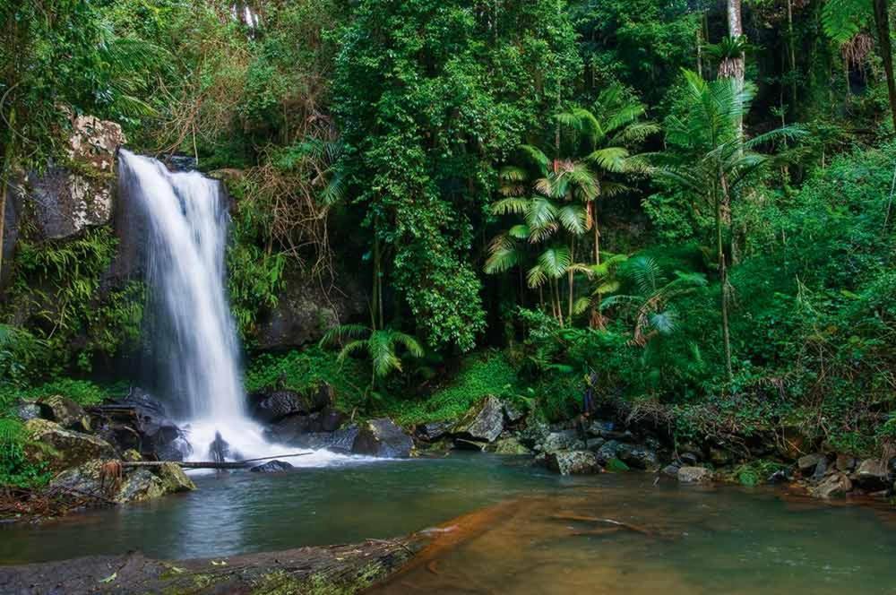 Mt Tamborine Stonehaven Manor Hotel Gold Coast Luaran gambar